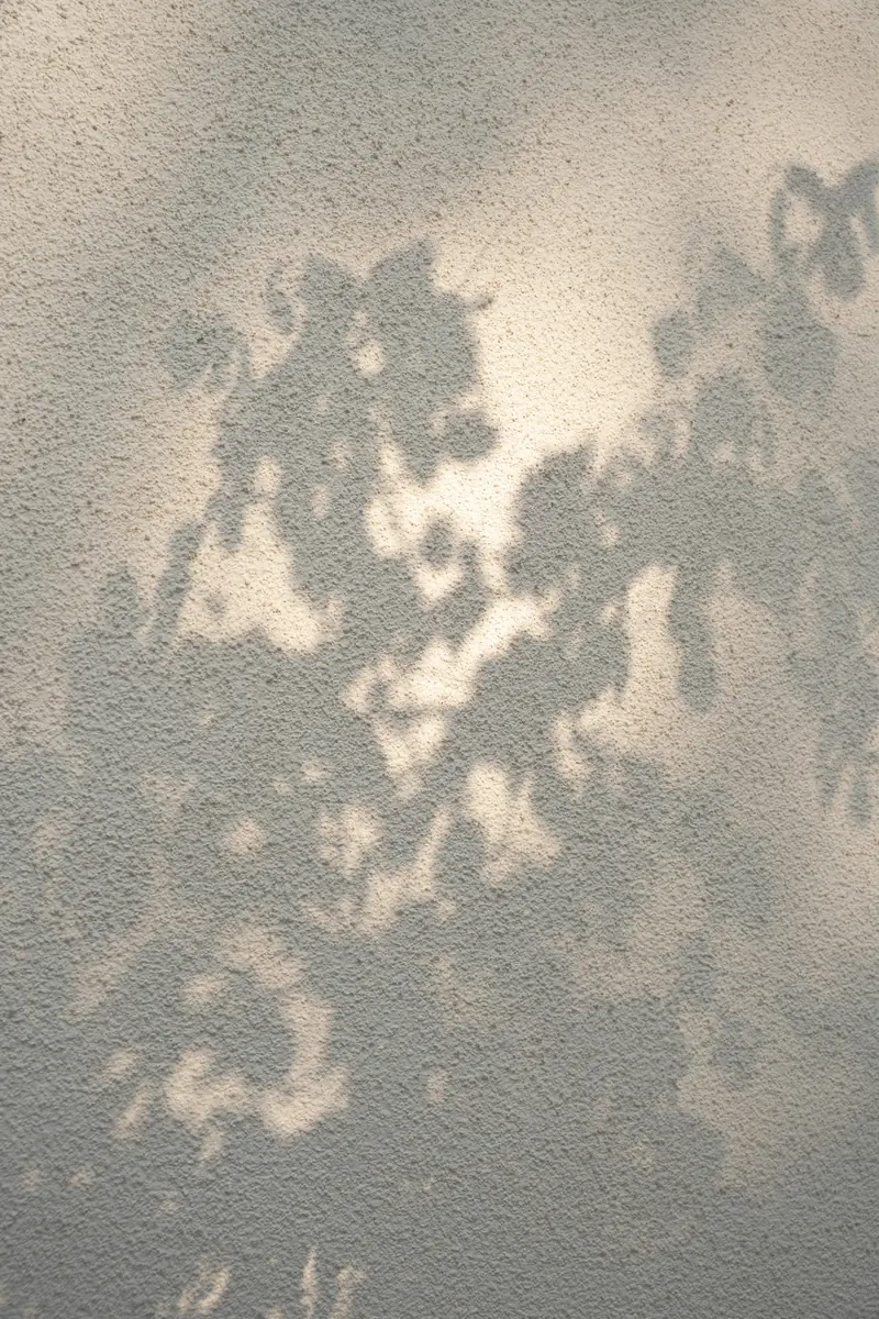 Leaf shadows on a warm textured wall
