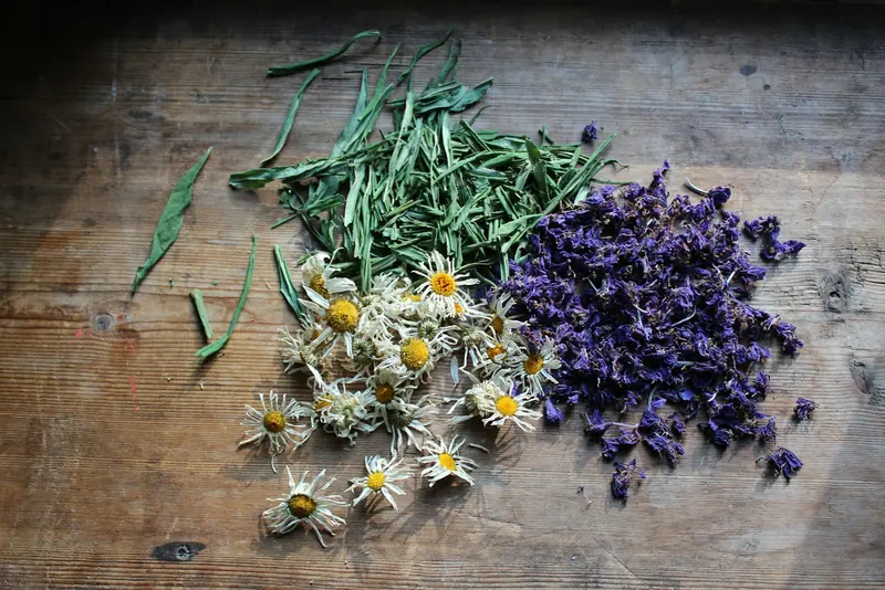 Dried lavender, chamomile and rosemary on a wood table
