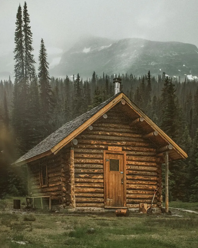 A small log cabin in the trees with a misty ridge behind