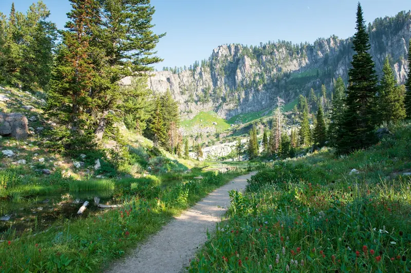 A trail winding through a green mountain valley