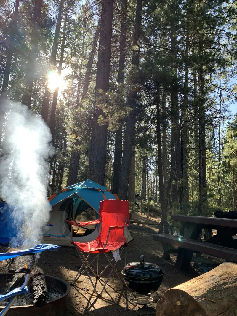 A campsite with a tent, a smoking fire and camp chairs in the pines