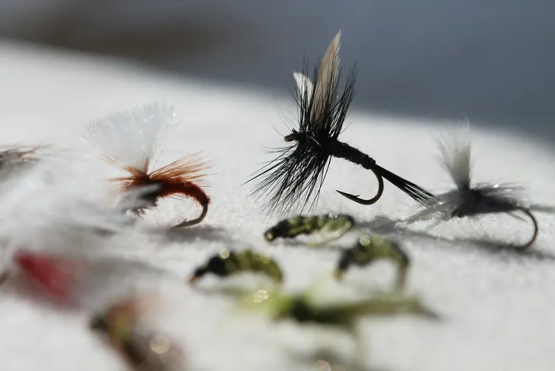 A few hand-tied flies on a white table