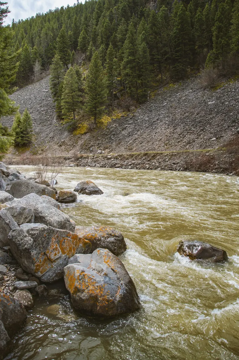 Fast water running over rocks below a forested hill