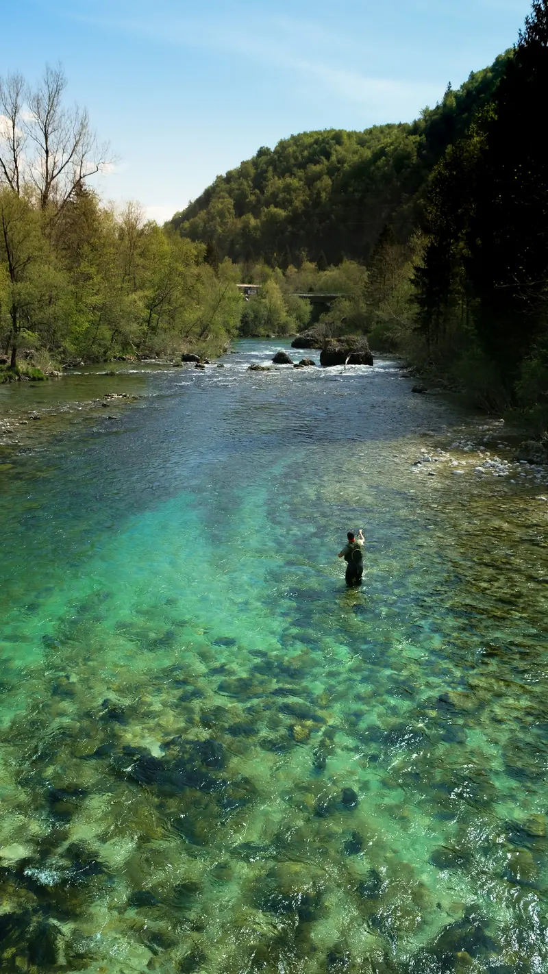 An angler standing in a clear green river below the trees