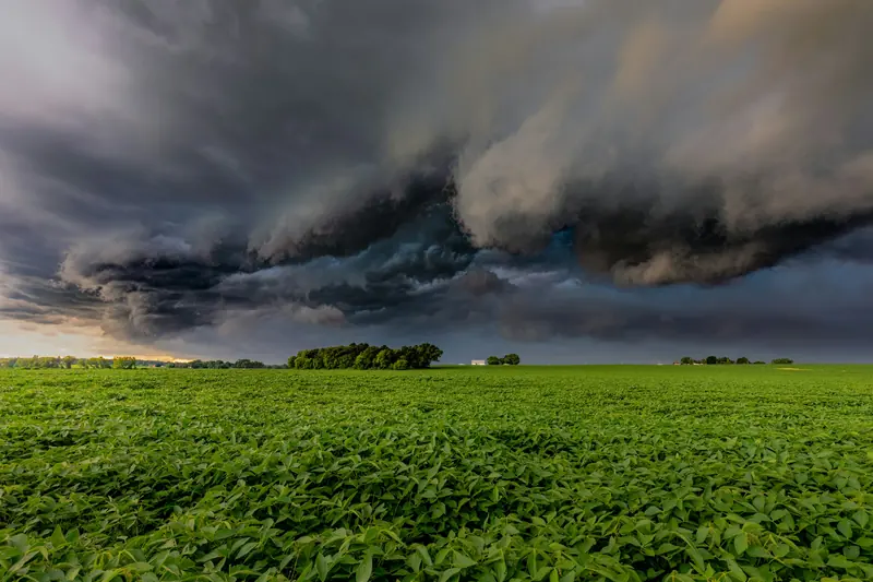 A dark storm rolling in over a green crop field
