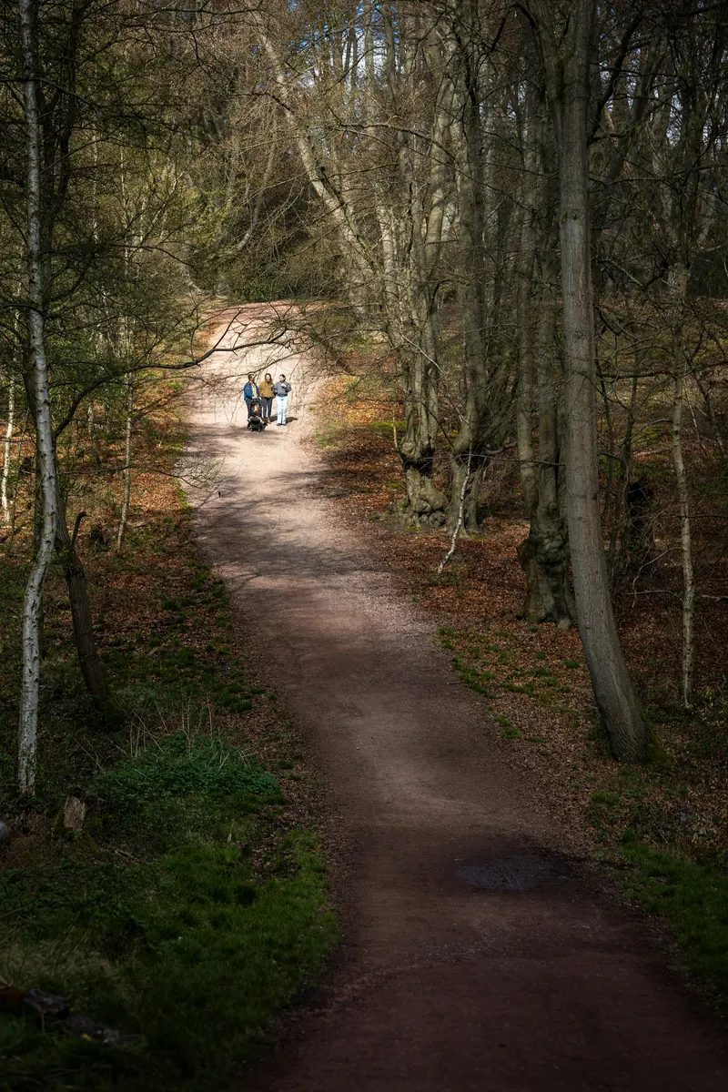 Two people walking up a wooded path in the fall