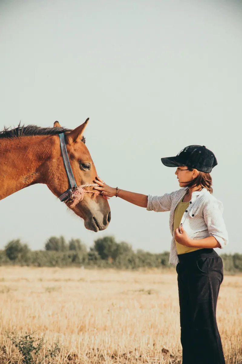 A woman in a cap reaching out to a horse in a dry field