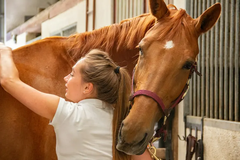 A woman checking a chestnut horse in its stall