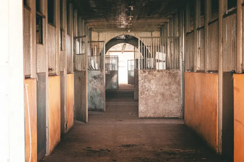 A quiet barn aisle lined with wooden stalls