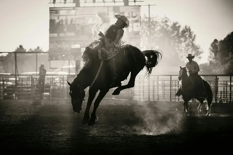 A bucking horse kicking up dust