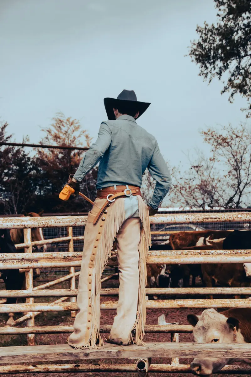 A cowboy in chaps standing on the arena fence