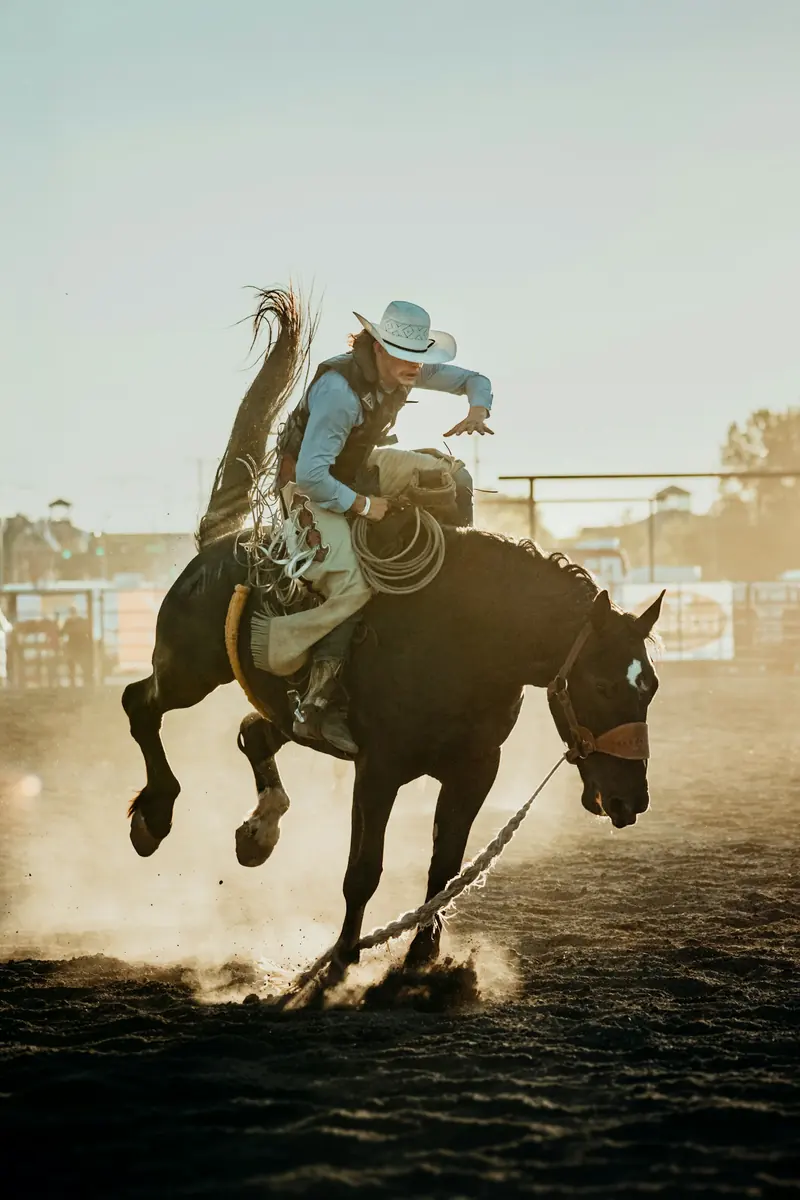 A bronc rider in golden dust at the end of the day