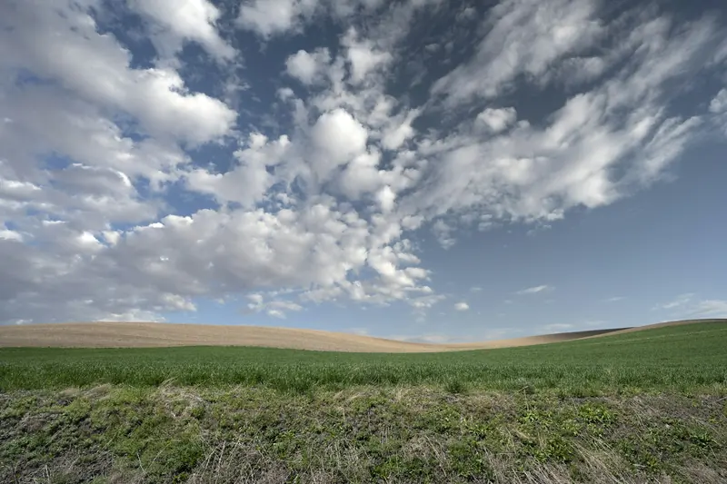 Rolling green and brown farm hills under a cloudy sky