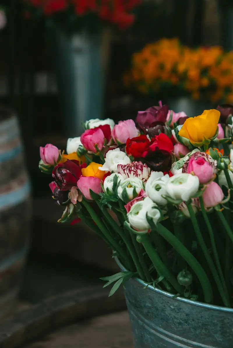 A bucket of mixed garden flowers