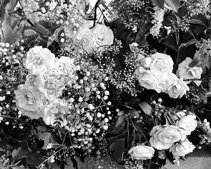 A wide spread of roses and carnations