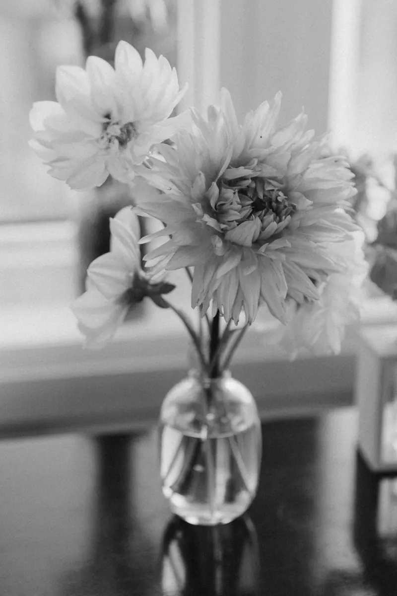 Dahlias in a small vase by a window