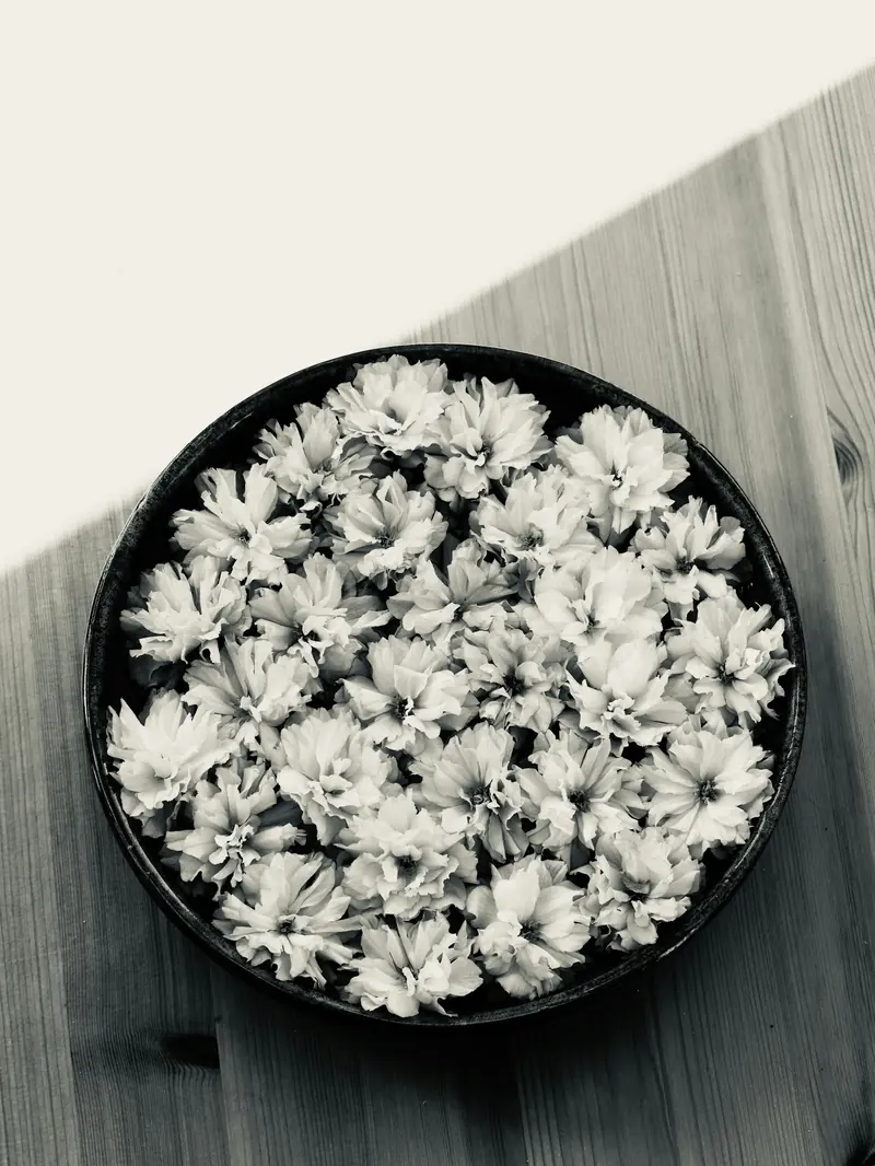 A wide bowl packed with white flowers