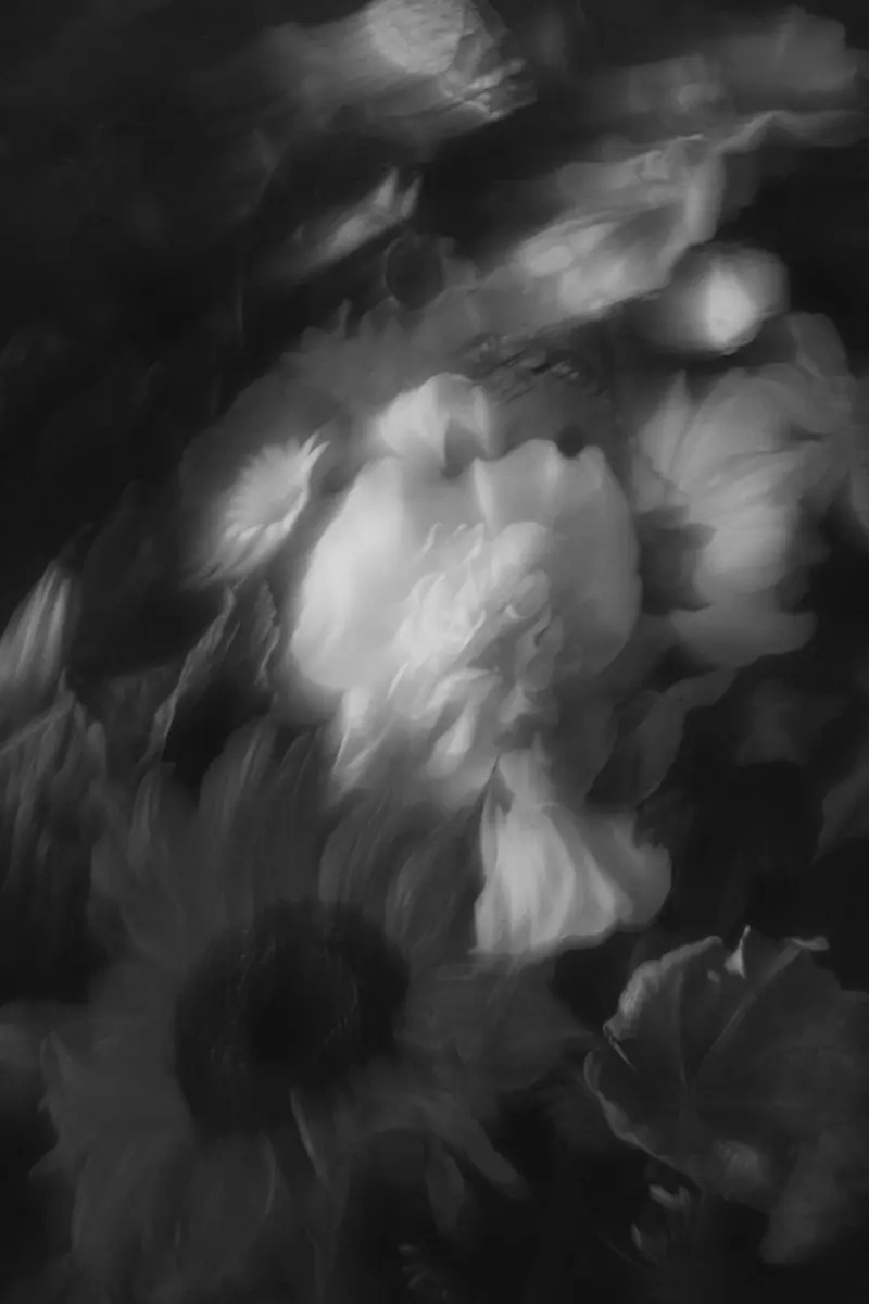 Soft, blurred flowers in light