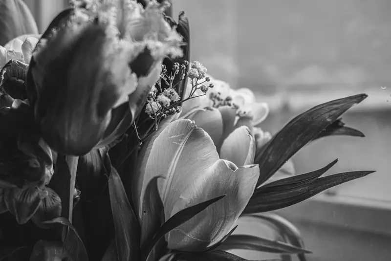 Flowers in a vase on a table