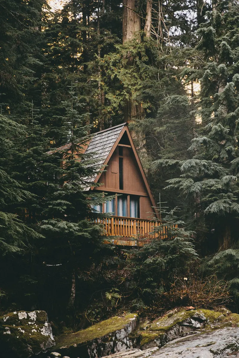 A wooden A-frame cabin in tall trees