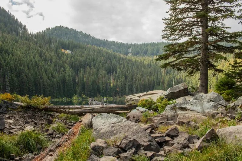 Timbered mountains above a rocky ridge in Idaho