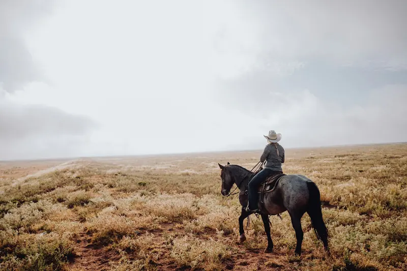 A rider on a dark horse crossing open sagebrush prairie under a gray sky
