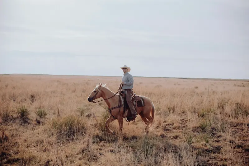 A rider on a brown horse in tall dry grass