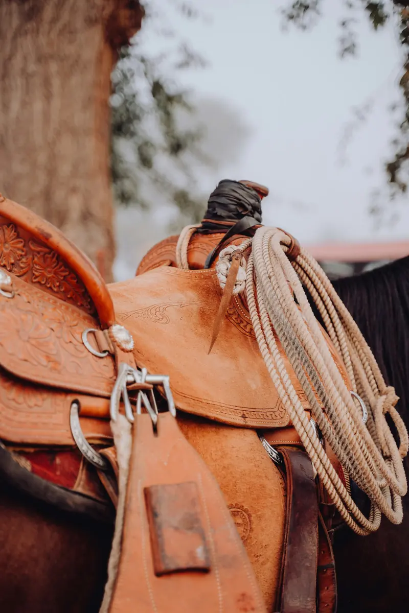 A tooled leather saddle with a coiled rope