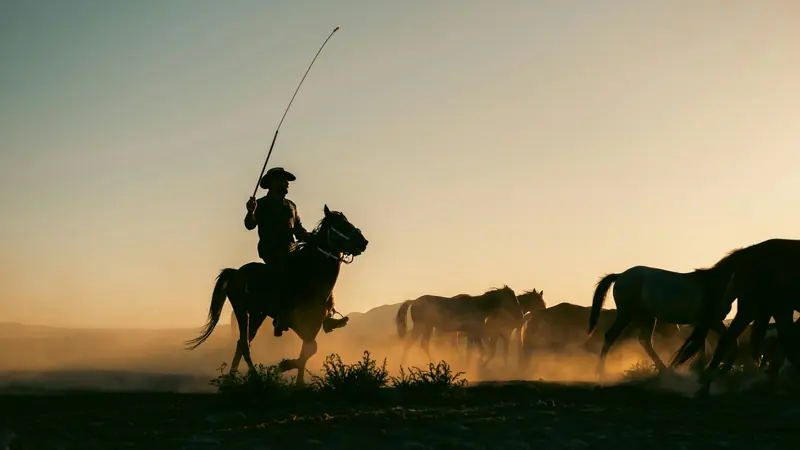 A rider swinging a rope behind a band of horses at sundown